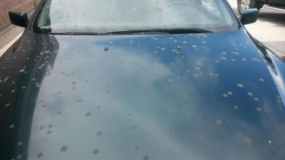 TC Says Feces Didn't Come From Planes