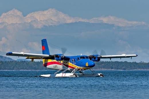 A Vietnam Navy Series 400 Twin Otter has been active in the search for Malaysian Airlines Flight 370.