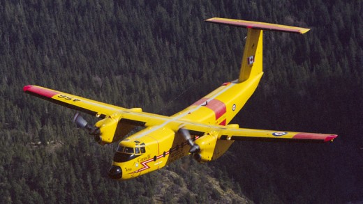 Viking Aircraft has withdrawn a bid to build new Buffaloes for the RCAF.