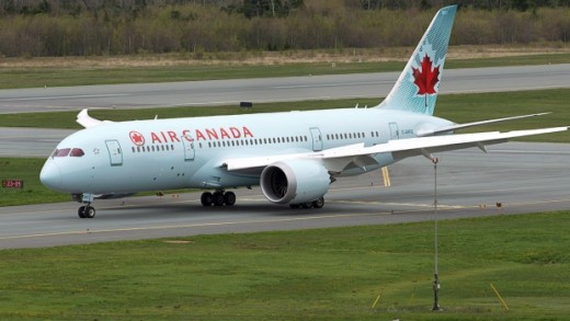 A Tel Aviv-Toronto flight was diverted to ensure a dog's safety.
