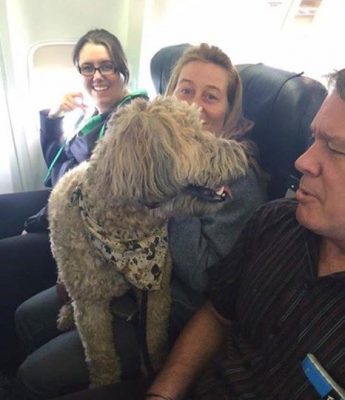 Pets were allowed on board evacuation flights.